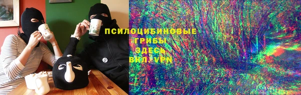 ешки Алексеевка