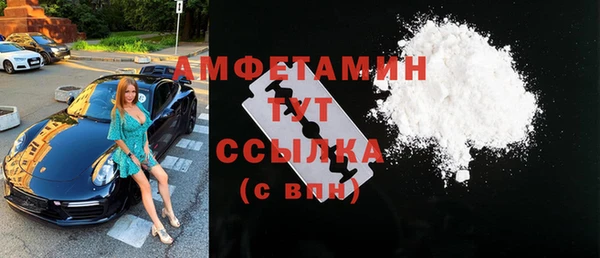 твердый Абаза